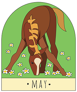 May